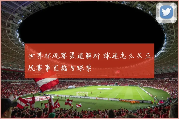 世界杯观赛渠道解析 球迷怎么买正规赛事直播与球票