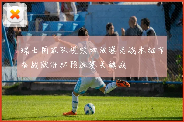 瑞士国家队视频回放曝光战术细节备战欧洲杯预选赛关键战