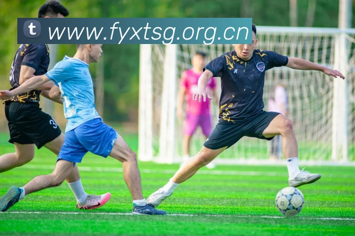 多媒体互动体验